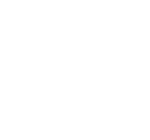 Browser